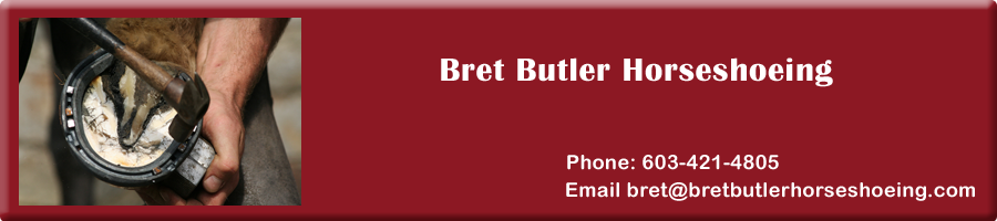 farrier Bret Butler horseshoeing